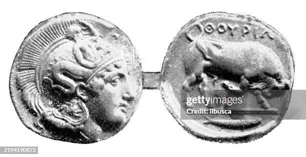 antike münze: tetradrachme von thurium - ehemalige griechische währung stock-grafiken, -clipart, -cartoons und -symbole