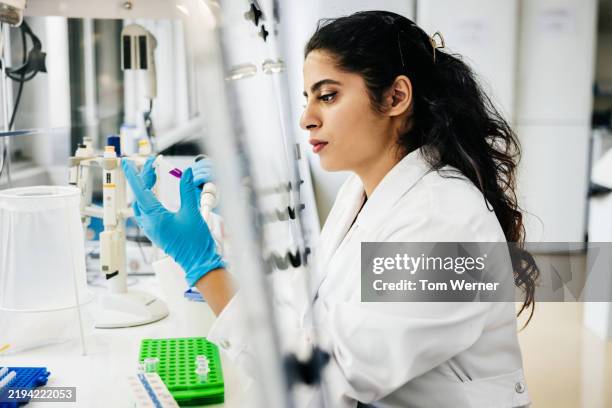 female scientist analyzing samples in a controlled laboratory environment - person of colour stock pictures, royalty-free photos & images