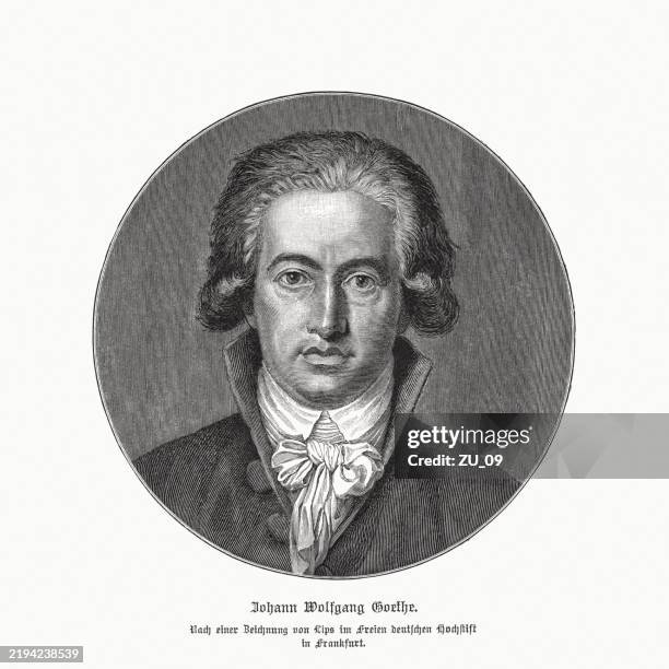 Goethe German 426 Johann Wolfgang Von Goethe Portrait Stock Photos, High-Res Pictures ...