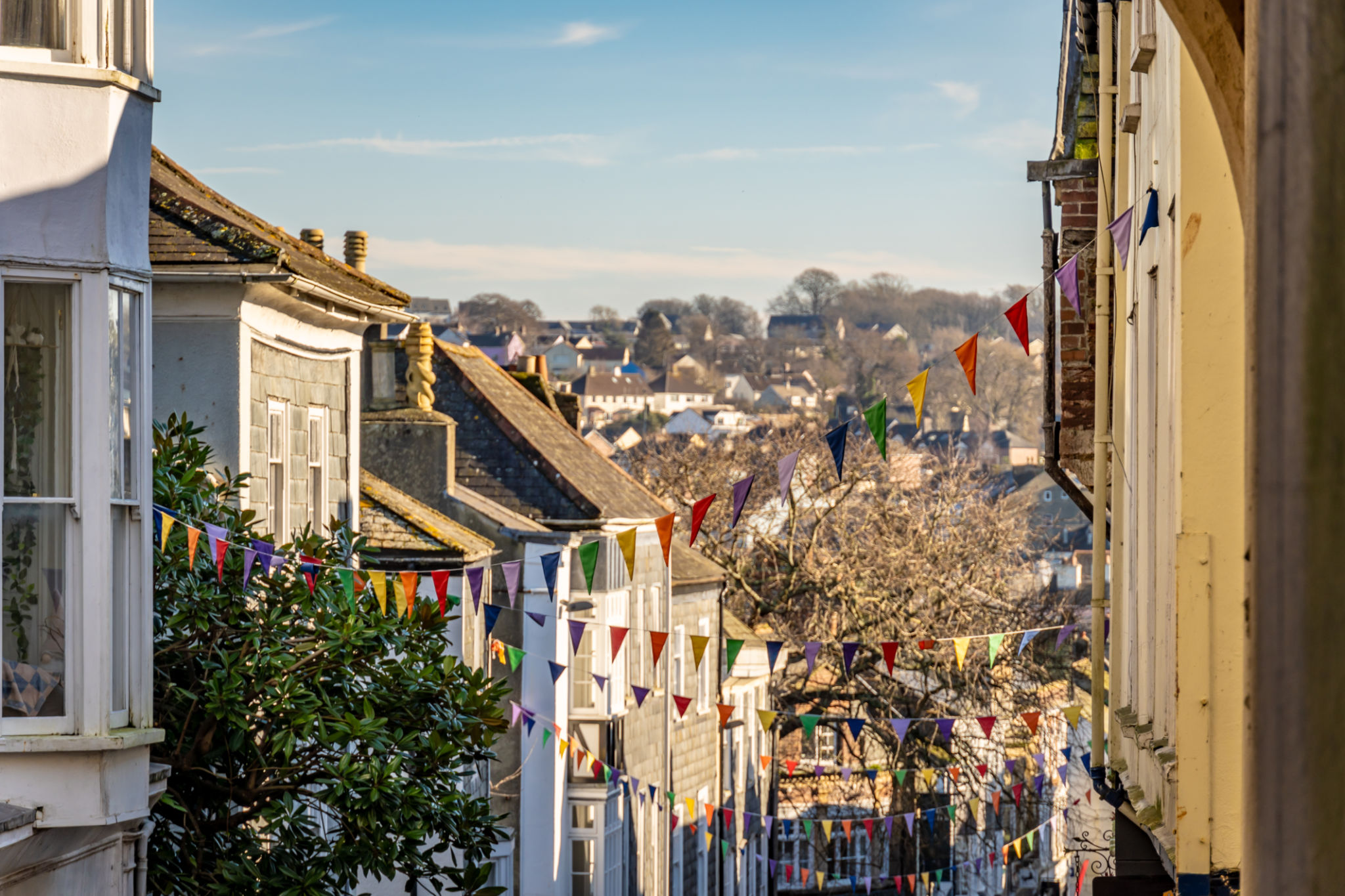 totnes town