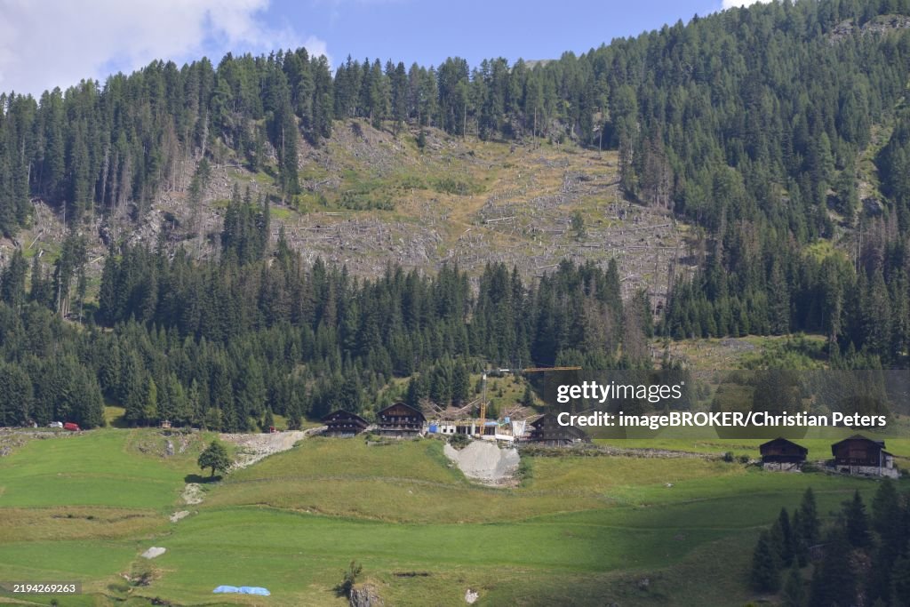 Construction site for avalanche protection and slope stabilisation on a mountain slope in Defereggen Valley, the protective forest above the farmhouses has been destroyed by the bark beetle, East Tyrol, Austria, Europe