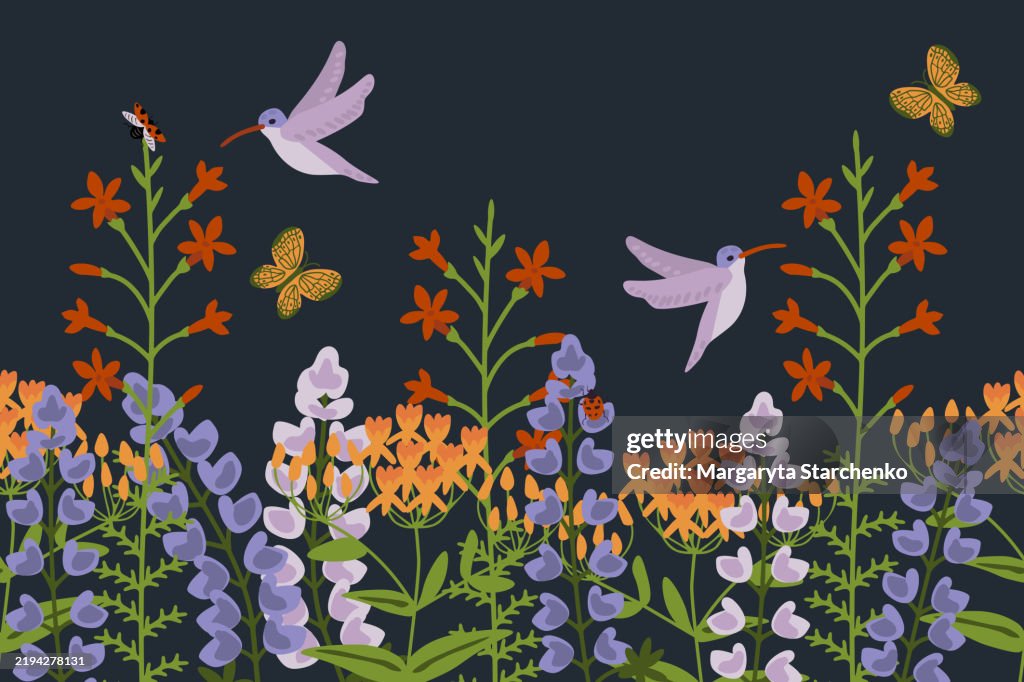 Seamless Pollinator Garden High-Res Vector Graphic - Getty Images
