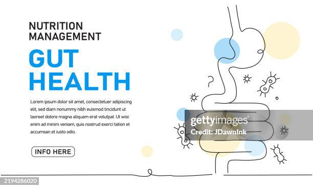 ilustraciones, imágenes clip art, dibujos animados e iconos de stock de plantilla de diseño de banner de salud intestinal estilo línea continua con texto de muestra, estómago e intestinos con bacterias intestinales - microorganismo
