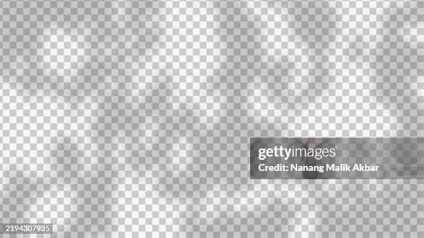 tree and leaf shadow with transparent background. shadow overlay effect mockup for design template. - dappled light abstract stock illustrations