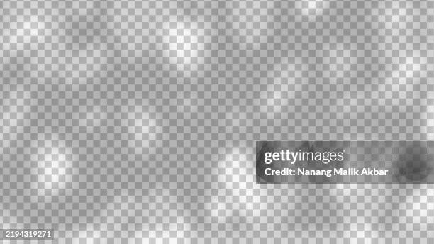 tree and leaf shadow with transparent background. shadow overlay effect mockup for design template. - dappled light background stock illustrations