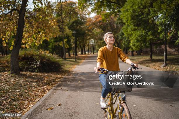glückliche frau, die im herbstpark fahrrad fährt, genießt den sonnigen tag - fahrradkorb stock-fotos und bilder