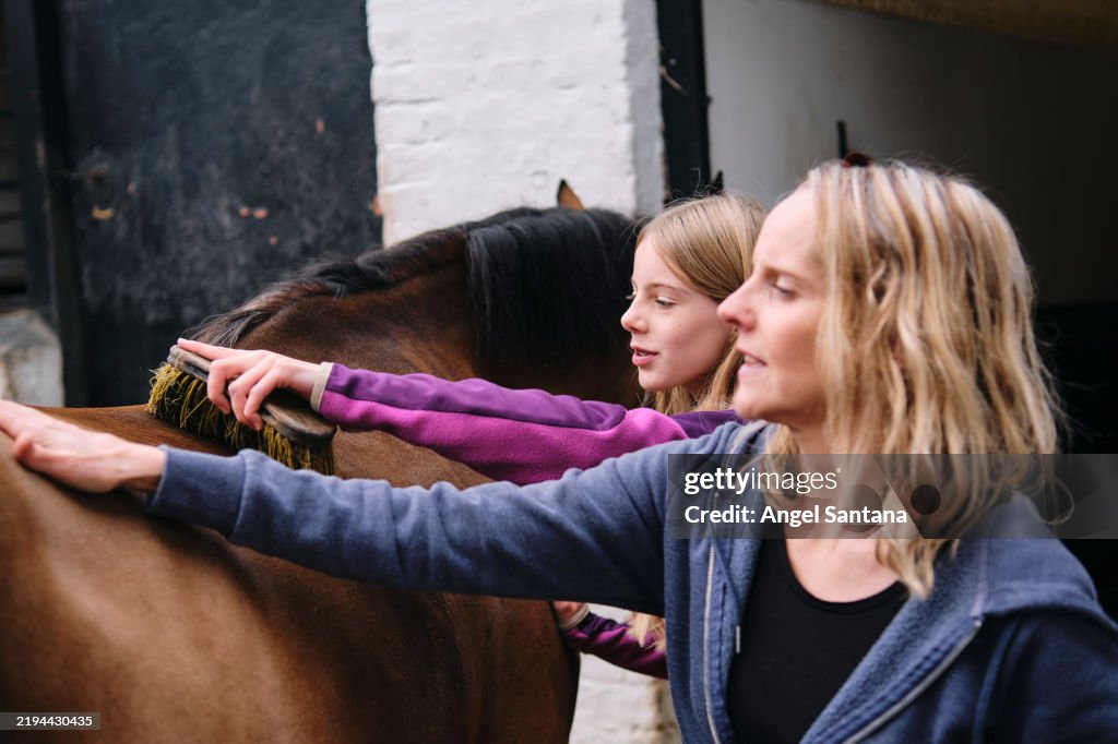 Mother and daughter grooming a horse together