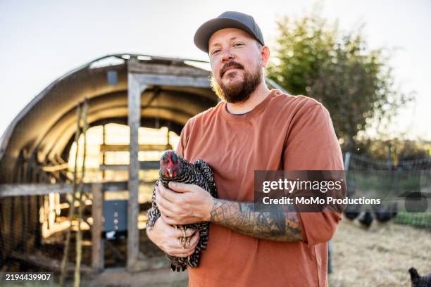young male farmer holding chicken on farm - eén dier stockfoto's en -beelden