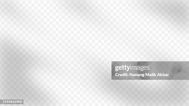 tree and leaf shadow with transparent background. shadow overlay effect mockup for design template. - dappled light background stock illustrations