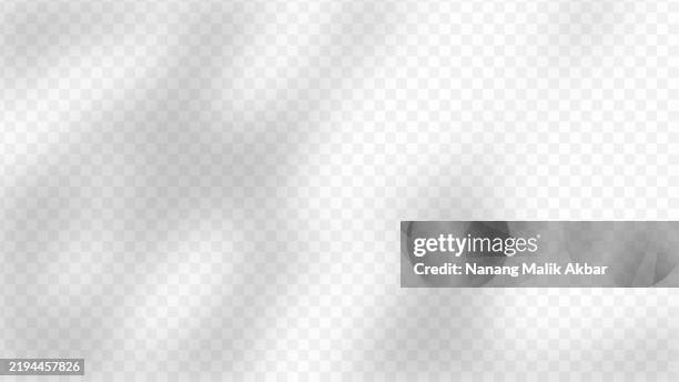 illustrazioni stock, clip art, cartoni animati e icone di tendenza di ombra di alberi e foglie con sfondo trasparente. mockup dell'effetto di sovrapposizione delle ombre per il modello di design. - ombra in primo piano