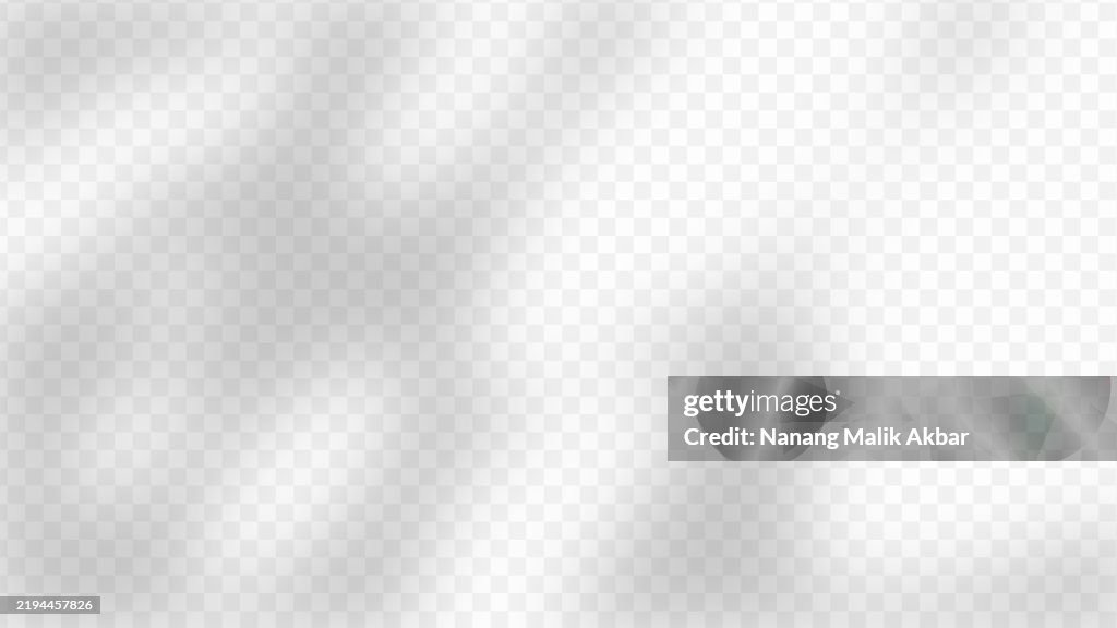 Tree and Leaf shadow with transparent background. Shadow overlay effect mockup for design template.