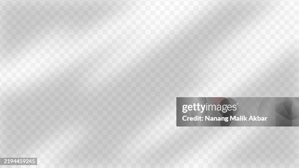 tree and leaf shadow with transparent background. shadow overlay effect mockup for design template. - dappled light background stock illustrations