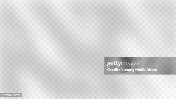 tree and leaf shadow with transparent background. shadow overlay effect mockup for design template. - dappled light background stock illustrations