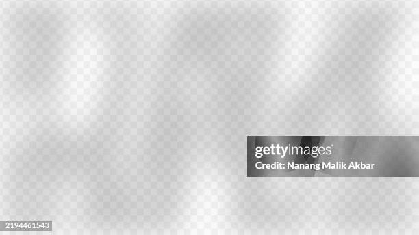 tree and leaf shadow with transparent background. shadow overlay effect mockup for design template. - window light beam stock illustrations