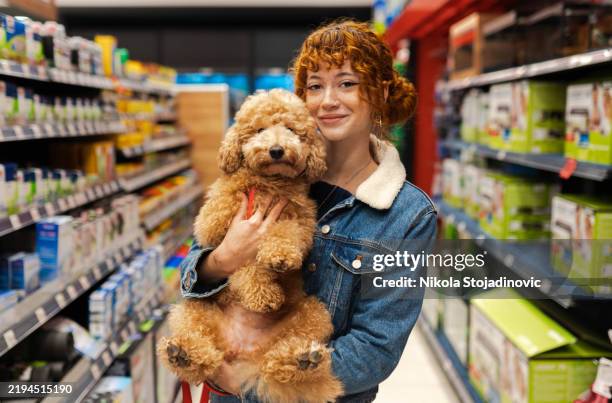 having fun in a pet shop - pet shop stock pictures, royalty-free photos & images