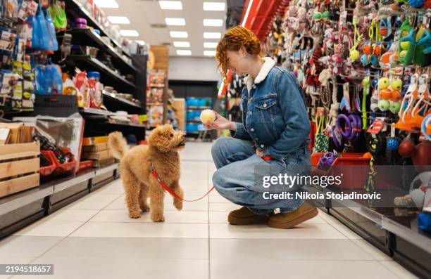 redhead in a pet shop store - pet shop stock pictures, royalty-free photos & images