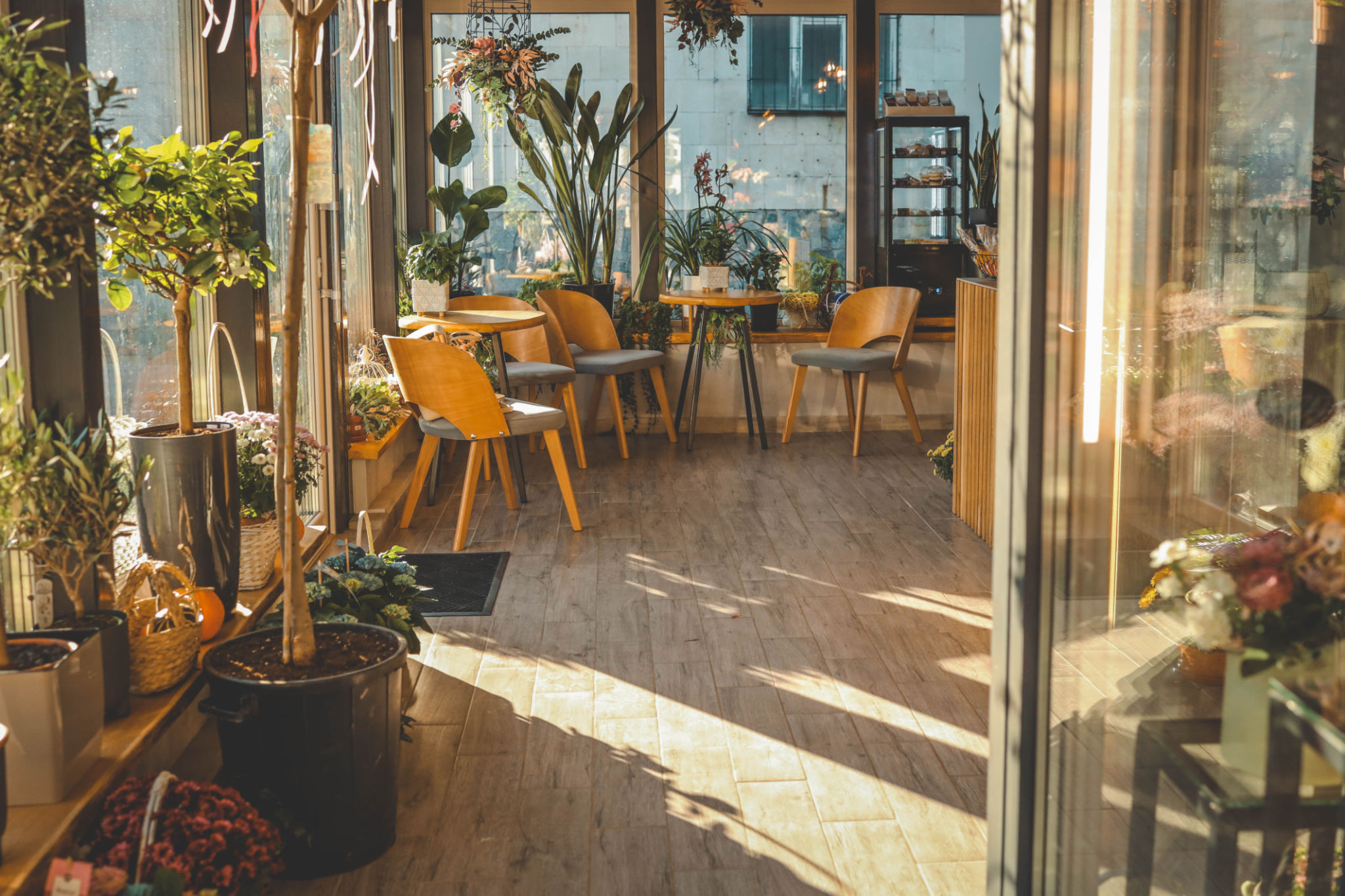 cozy cafe interior