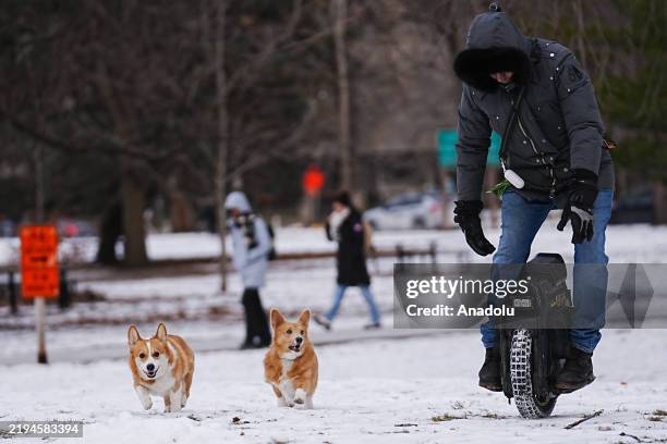 Man on electric unicycle plays with his dogs in Toronto, Canada as it is expected to be the coldest day of the winter on January 21, 2025. Enviroment...