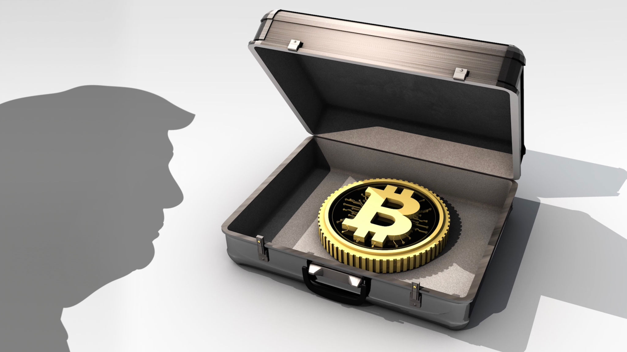New Digital Coin Strategy of USA New Digital Coin Strategy of USA