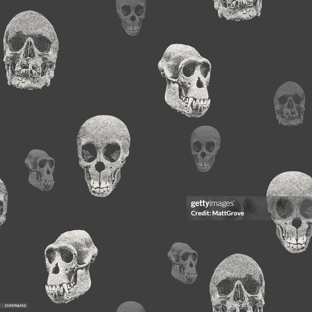 Human Chimp Skull Repeat Pattern High-Res Vector Graphic - Getty Images