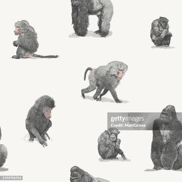 apes repeat pattern baboon, gorilla, chimp - macaque monkey stock illustrations