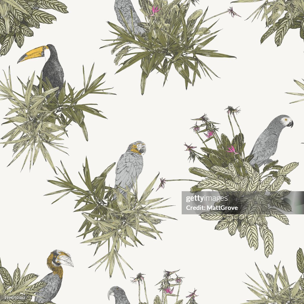 Parrots Toucan & Hornbill Seamless Repeat Pattern