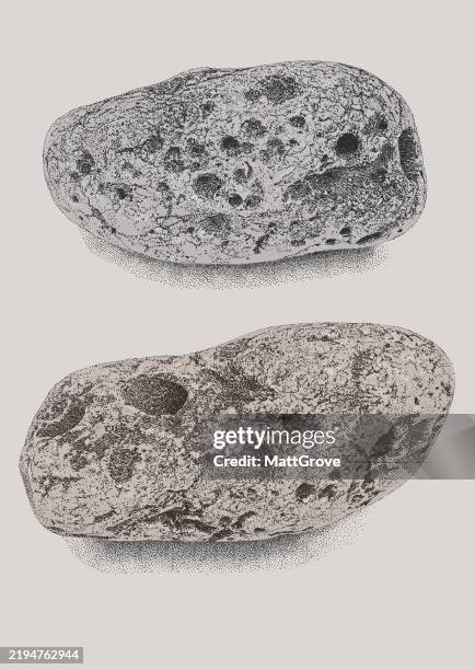 bildbanksillustrationer, clip art samt tecknat material och ikoner med limestone pebbles - stenblock