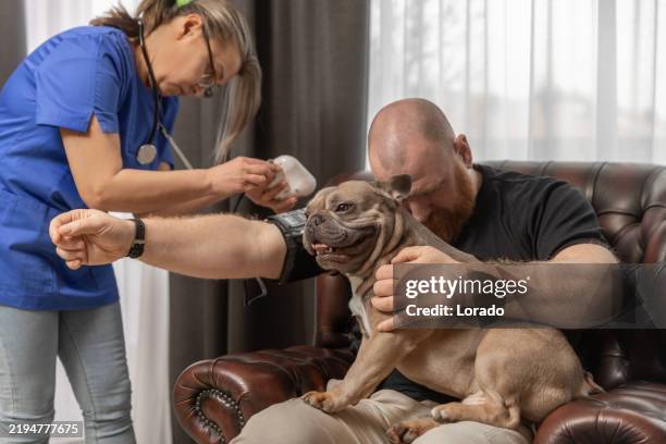 a cute dog as a therapy animal for a wheelchair bound ex military senior man and his caregiver during a home medical check-up - therapy dog stock pictures, royalty-free photos & images