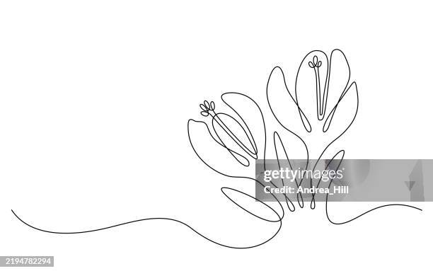 crocus flower single line drawing wih copy space banner - crocus stock illustrations