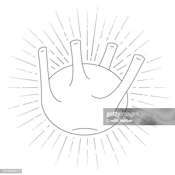 kohlrabi. line icon with sunbursts on white background - cabbage isolated stock illustrations