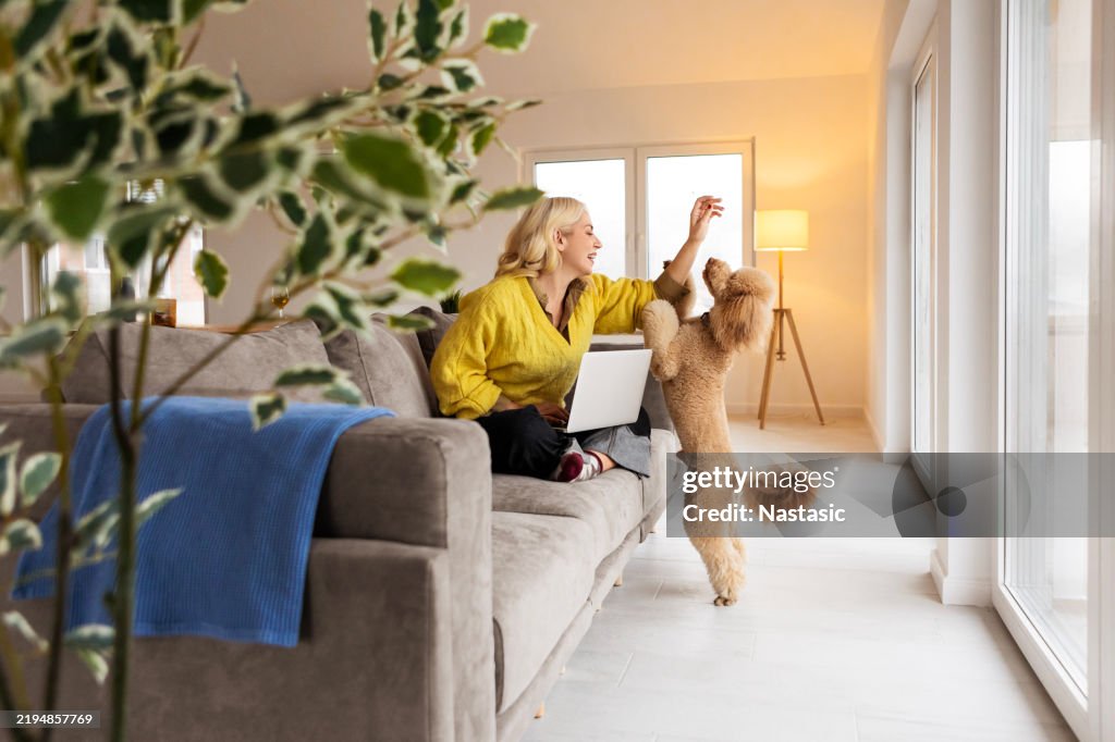 A Perfect Work-from-Home Partnership