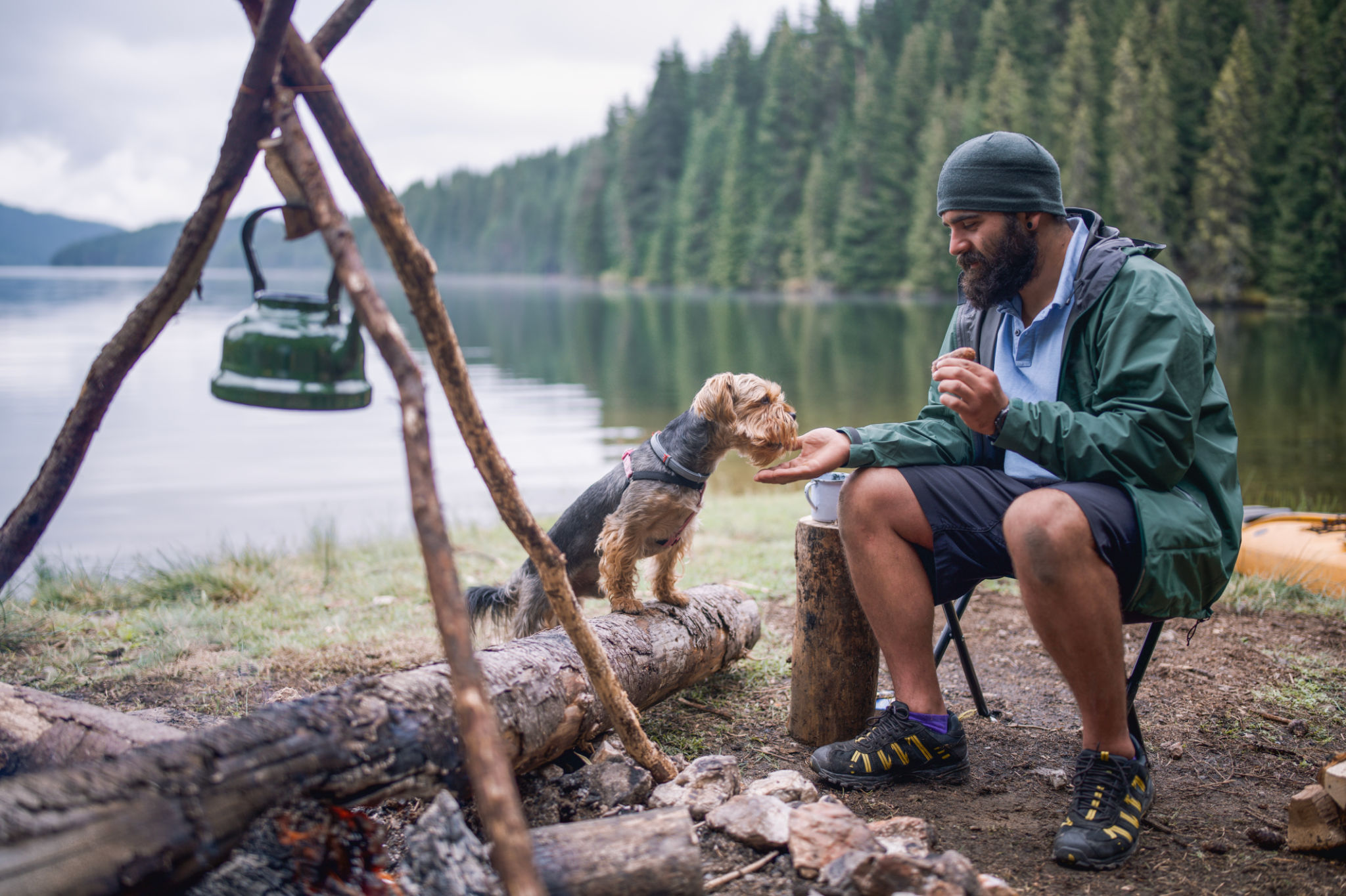 camping food dog
