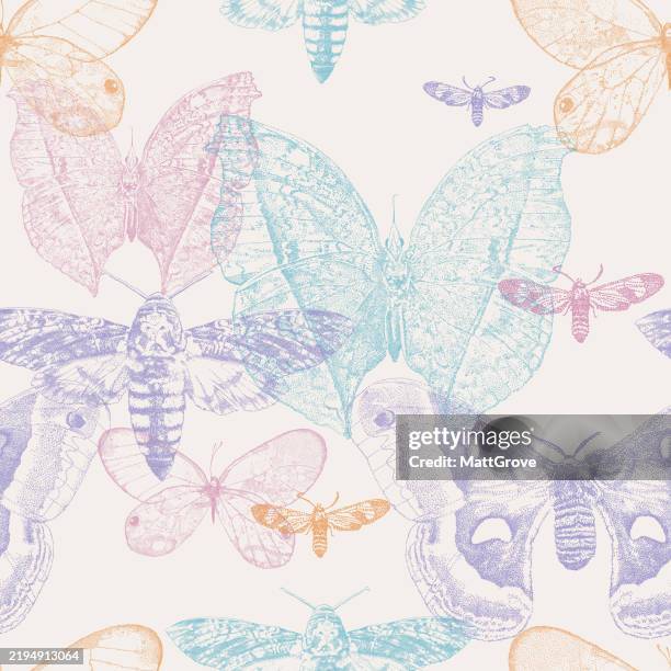 moths & butterflies seamless repeat pattern - moth stock illustrations
