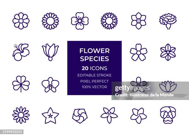 illustrations, cliparts, dessins animés et icônes de icônes d’espèces de fleurs - pétale