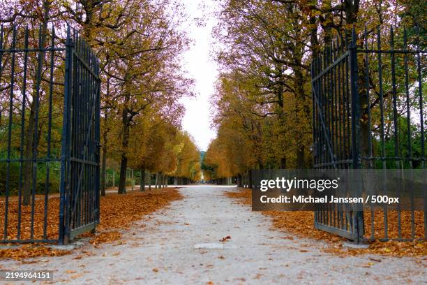 lane with autumn trees and in front a black grey entry gate - white picket gate stock pictures, royalty-free photos & images