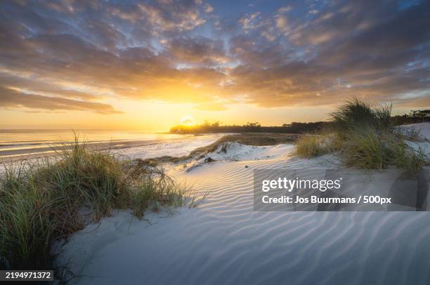 sunlit dunes at rarawa beach - northland,nz 2024 - sand dune stock pictures, royalty-free photos & images