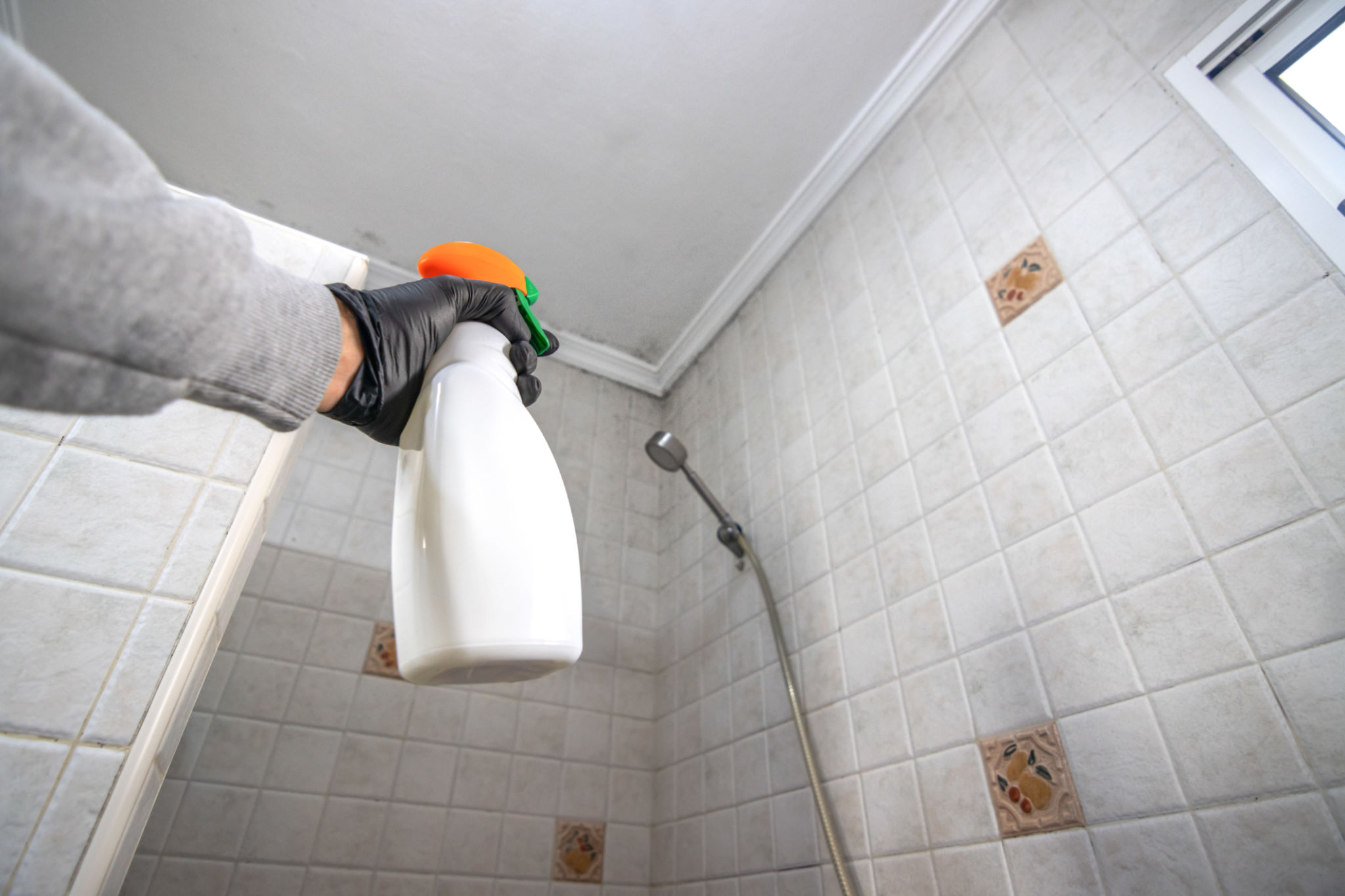 mold prevention