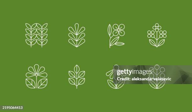 illustrazioni stock, clip art, cartoni animati e icone di tendenza di icone della linea di fiori e foglie - fiore di campo