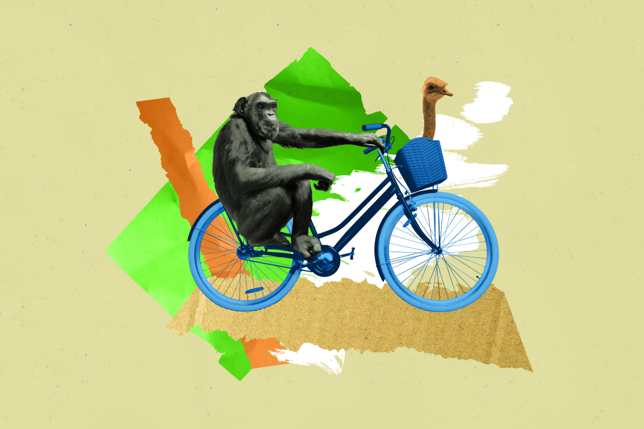 monkey park cycling
