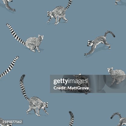 Ring-tailed Lemur seamless repeat pattern Ring-tailed Lemur seamless repeat pattern
