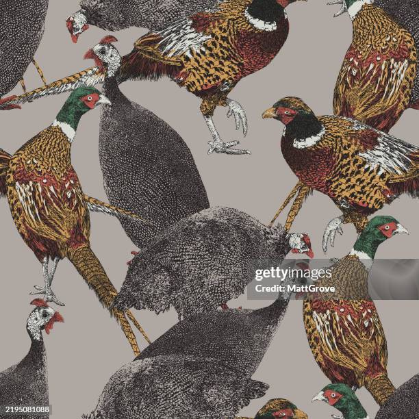 quail & pheasant repeat color - pheasant stock illustrations