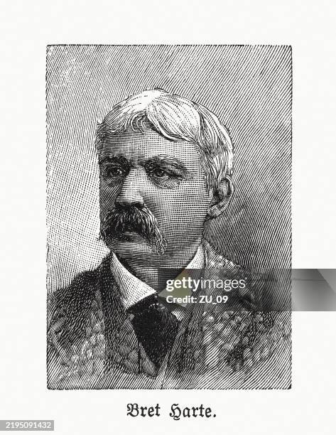 bret harte (1836-1902), american author, wood engraving, published 1895 - prospecting stock illustrations