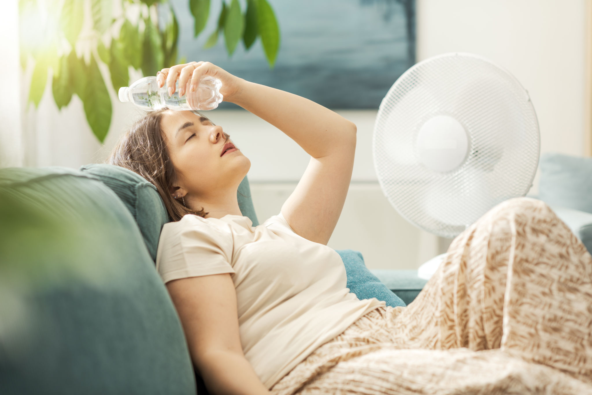 summer heatwave precautions