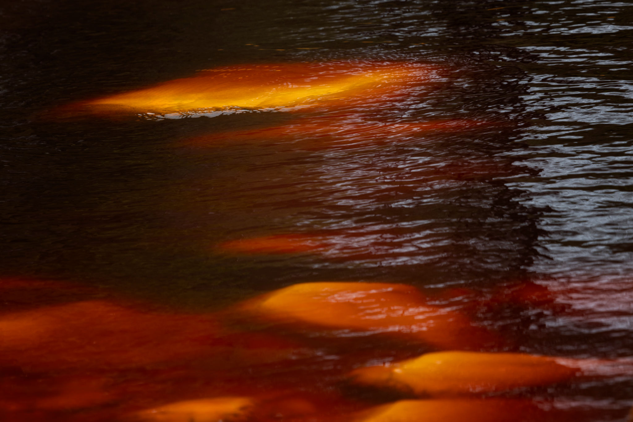 ferrous particles