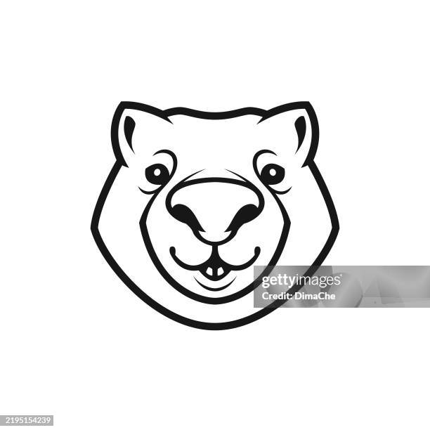 wombat, groundhog, beaver character mascot - cut out vector wombat, marmot, beaver head silhouette, logo, icon, sticker - australian wombats stock illustrations