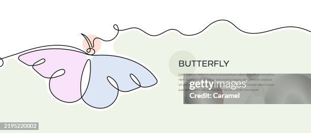 butterfly web banner with continuous line icon - lepidoptera stock illustrations