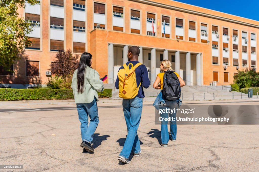 Three students walking along the campus in a sunny day