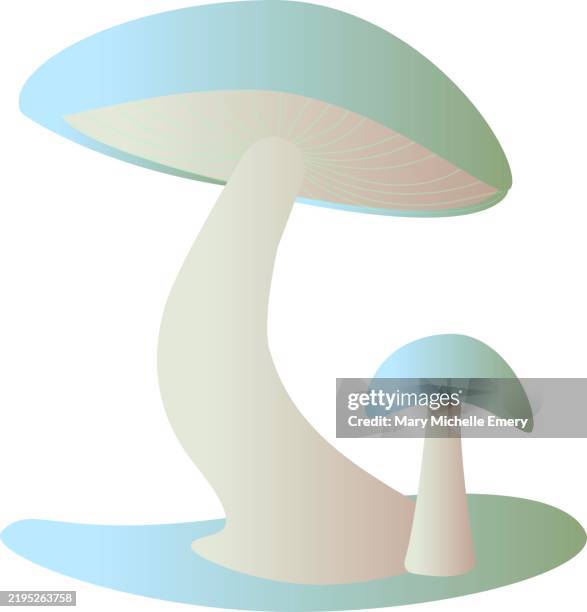 mushrooms - foraging stock illustrations