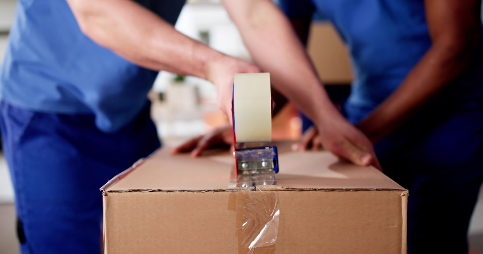 professional movers