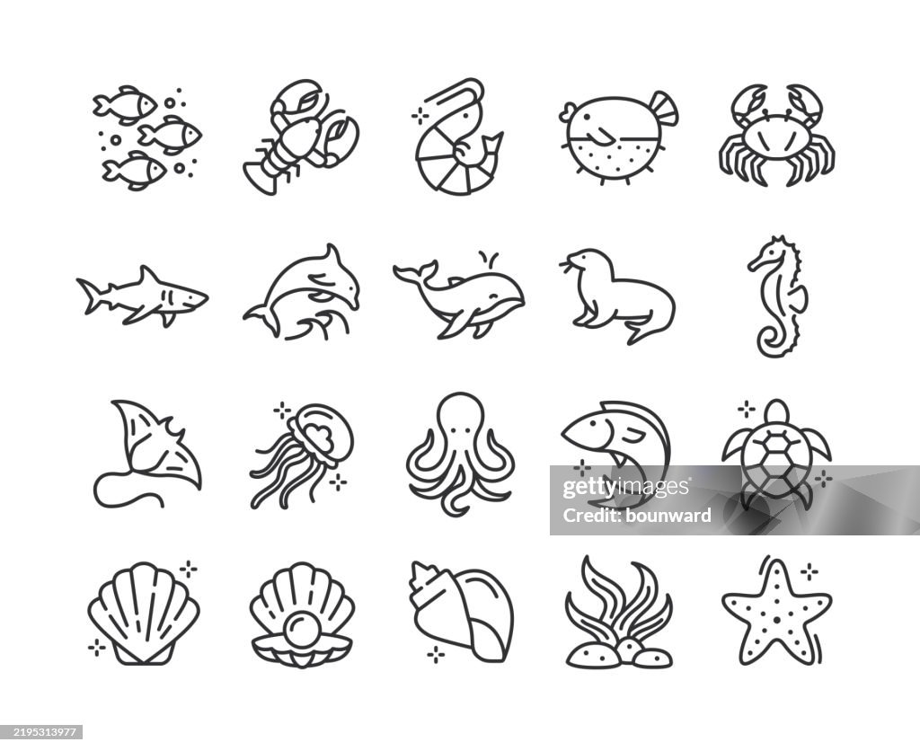 Sea Life & Ocean Animals Line Icons. Editable Stroke.